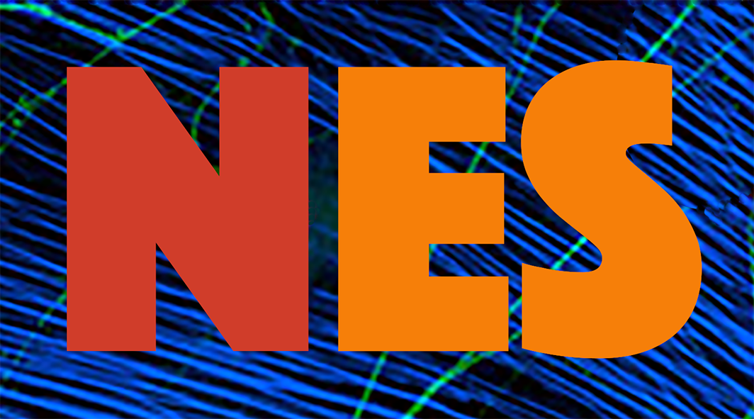 Logo of the Neuroscience Experiments System