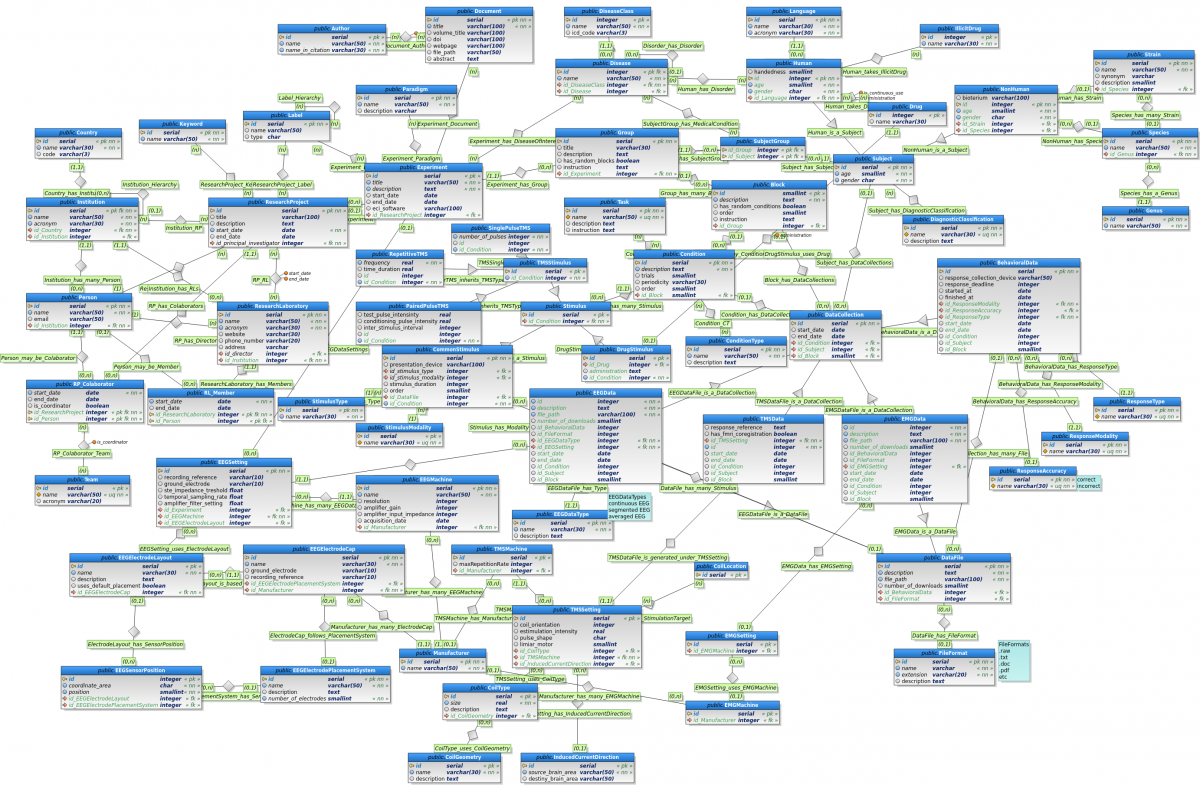 The conceptual model of NeuroMat's database